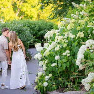 Gallery Photo 14