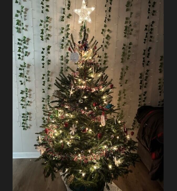 First Christmas in Florida 2022