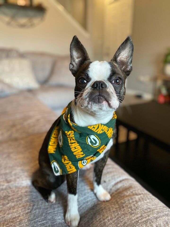 We got our sweet Lucy! 
(She is really a Niners fan, but Mitch won't admit it) 