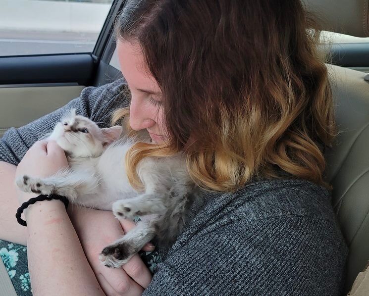 Welcome to your forever home Layla!