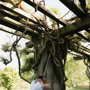 Gallery Photo 47