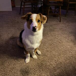 Gallery Photo 38
