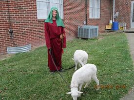 Heavenly Heart Farm & Mini Petting Zoo - Petting Zoo - Edinburg, VA - Hero Gallery 1