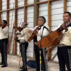 Mariachi Alma Sureña de oregon, profile image