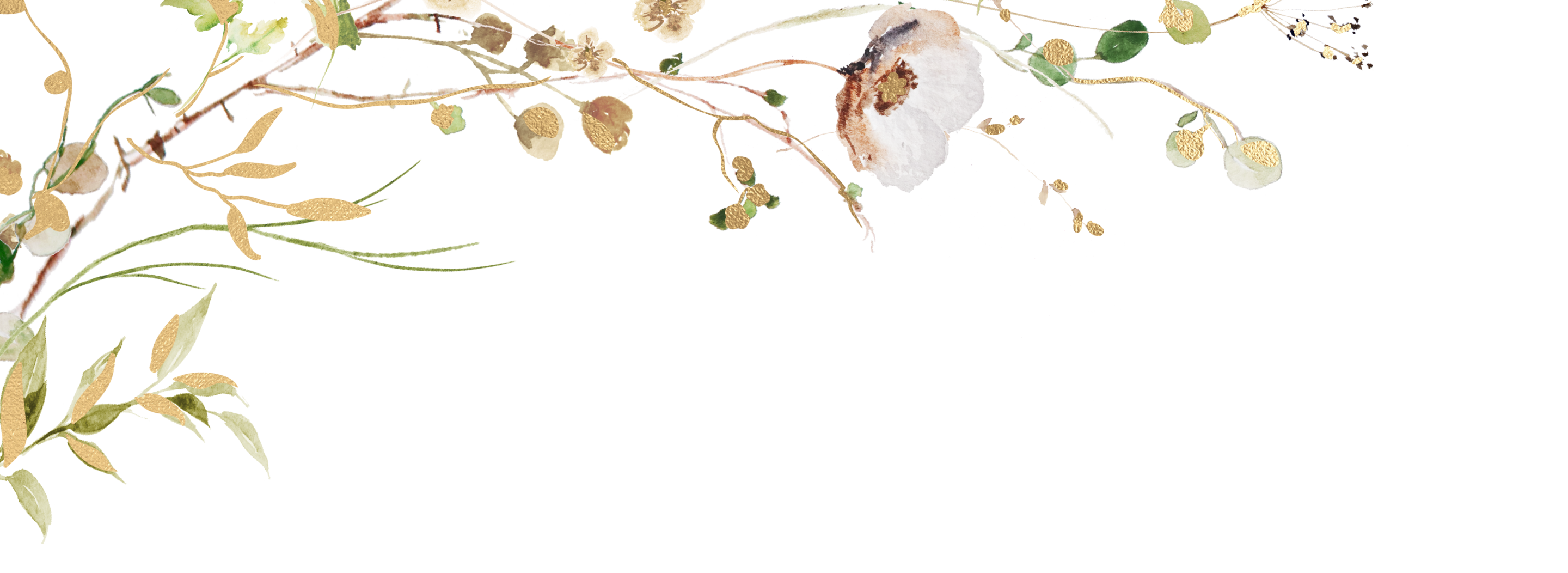 Top Theme Image