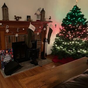 Gallery Photo 56