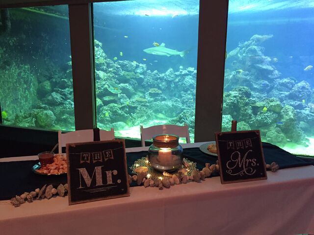 gulfarium wedding