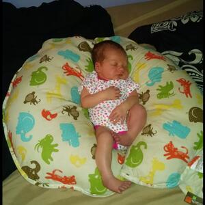 Gallery Photo 28