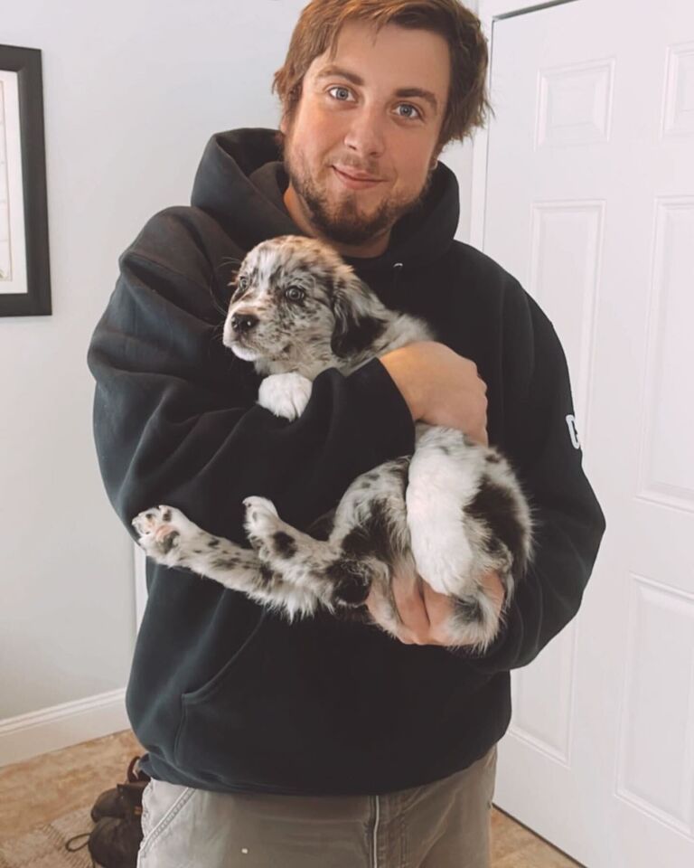 We got our favorite girl, Beth, who is our now almost three-year old Australian Shepherd!