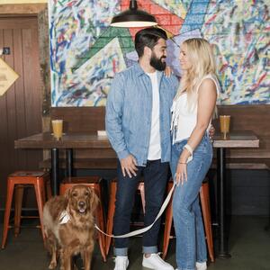 Gallery Photo 29