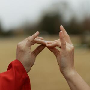 Gallery Photo 7