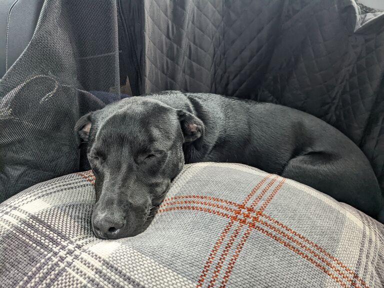 Our First Roadtrip - Rhode Island to North Carolina