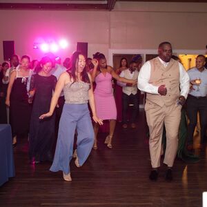 Gallery Photo 115