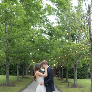 Gallery Photo 23