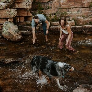 Gallery Photo 46