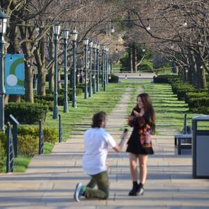Gallery Photo 7