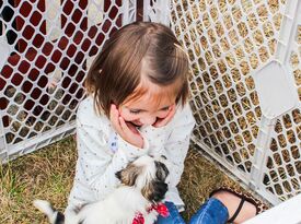 Barn Babies Traveling Petting Zoo - Petting Zoo - Lakeville, MA - Hero Gallery 1