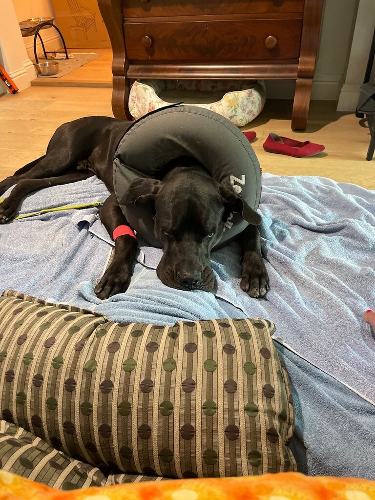 It’s rough not having balls