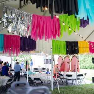 Gallery Photo 57