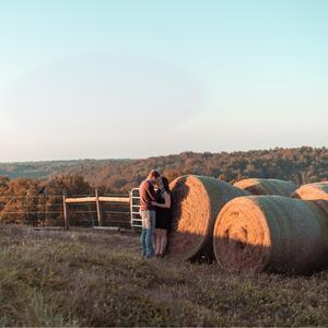 Gallery Photo 29
