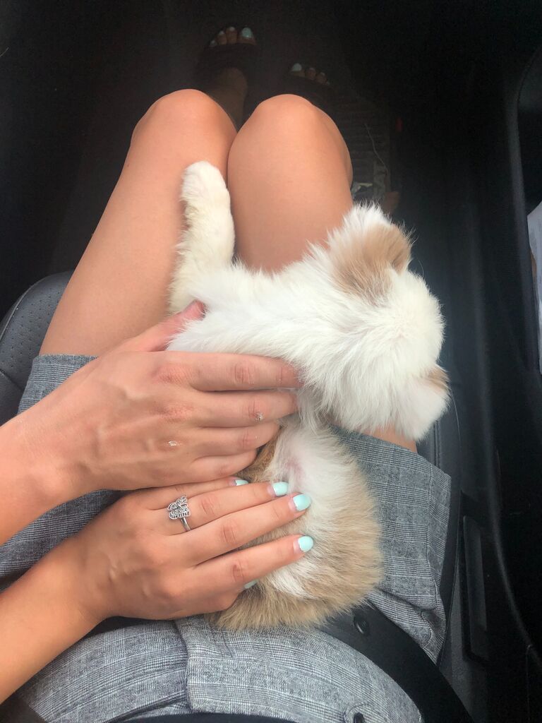 Bringing home our 'Baby Son', Louis.