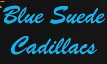 Blue Suede Cadillacs - Cover Band - Waupun, WI - Hero Main