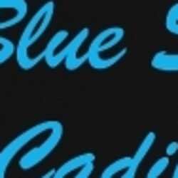 Blue Suede Cadillacs, profile image