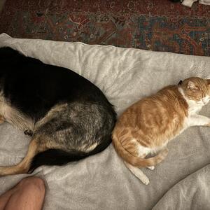 Gallery Photo 148