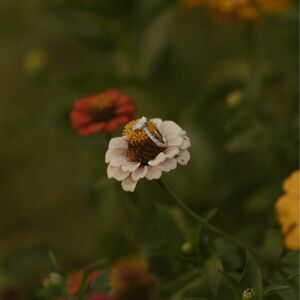 Gallery Photo 15