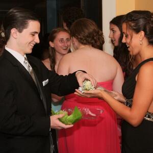 Gallery Photo 7