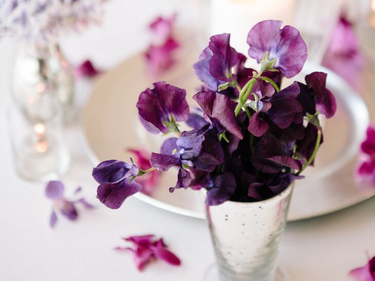 Purple sweet pea in a silver vase