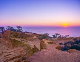 sunset torrey pines