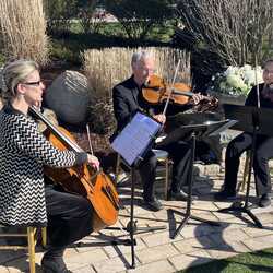 Arce Nova Strings Dio/Trio/Quartet, profile image