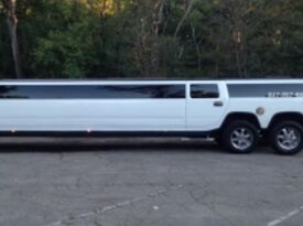 Viking Limousine LLC - Party Bus - Chicago, IL - Hero Gallery 4