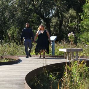 Gallery Photo 16