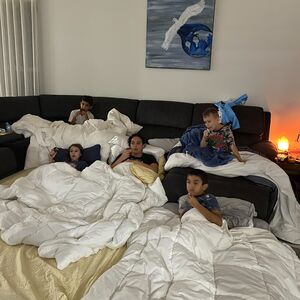Gallery Photo 4