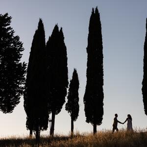 Gallery Photo 28