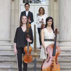 Bishop String Quartet, profile image