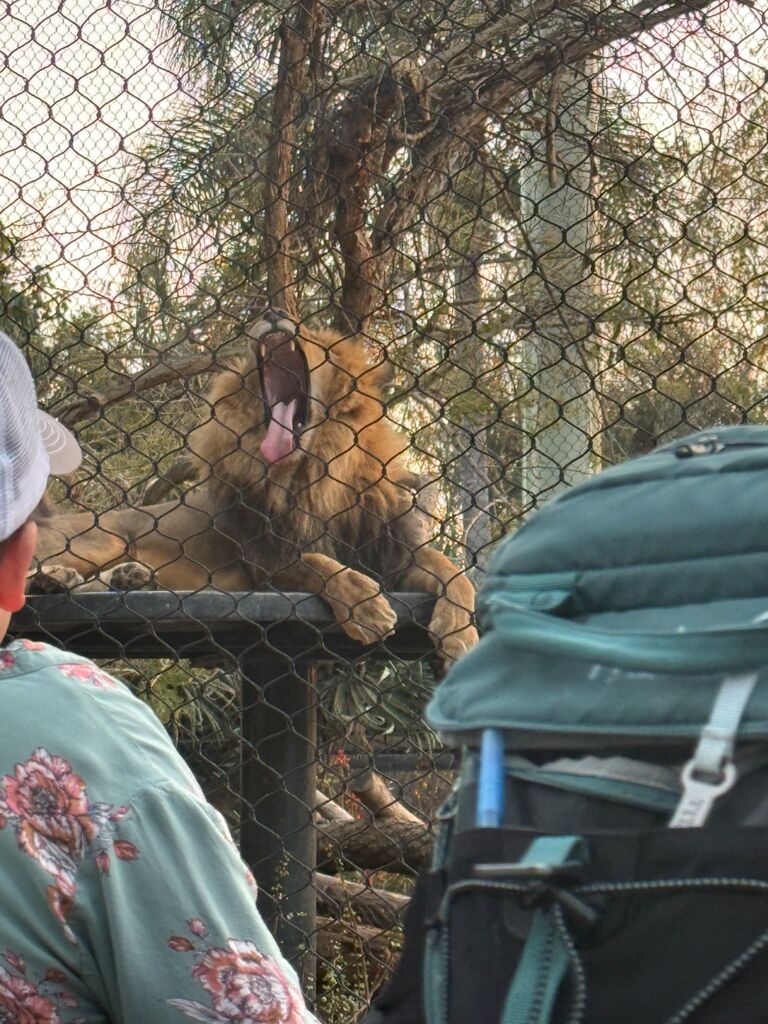 Back at the zoo!!