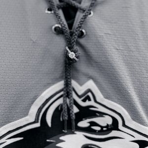 Gallery Photo 16