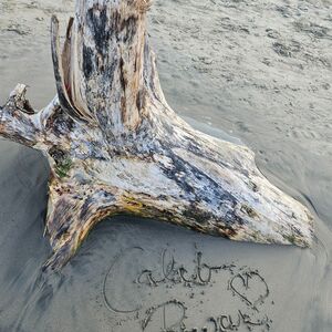 Gallery Photo 5