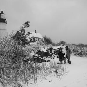 Gallery Photo 6