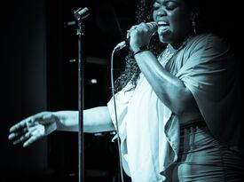 Erin Nicole Neal/The Chill Factors/Centric Soul - Cover Band - Cleveland, OH - Hero Gallery 1