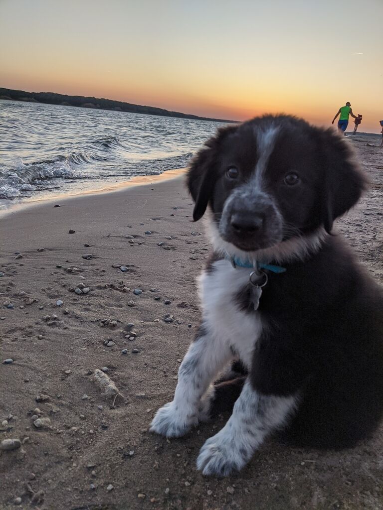 Finley <3