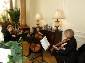 Trio Classica - String Quartet - Medford, NJ - Hero Gallery 1
