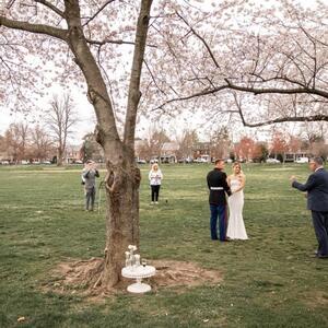 Gallery Photo 30