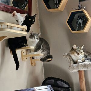 Gallery Photo 115