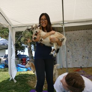 Gallery Photo 26