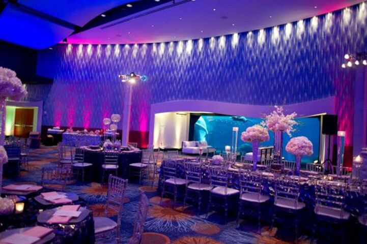 Georgia Aquarium featuring Wolfgang Puck Catering - 918ff870 4169 4a14 96b0 76ca82c72ab3~rs 2001.480.fit