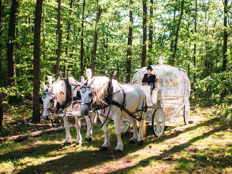 disney themed wedding horse and carriage